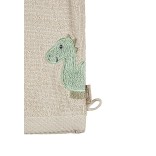 Vaikiškų plaušinių rinkinys Dino Rexi, 2vnt., 15x21cm. Mėlyna 355 3